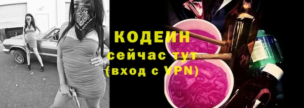 бошки Осинники
