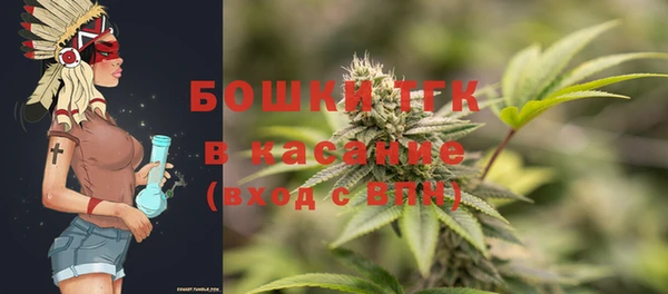 гидропоника Дмитриев