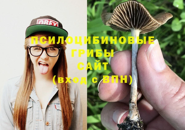 гидропоника Дмитриев