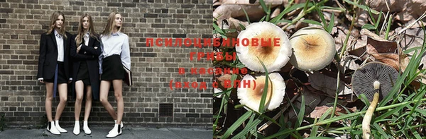 прущие крисы Осташков