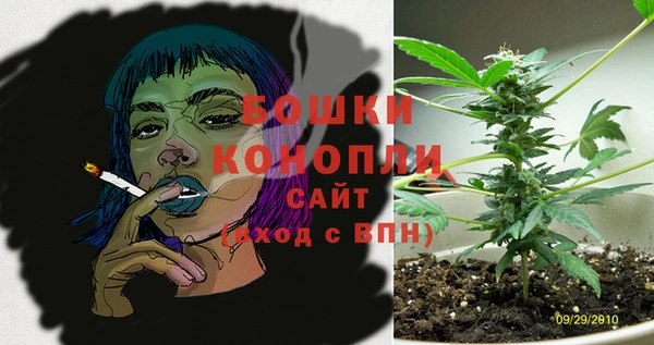 не бодяженный Дмитров