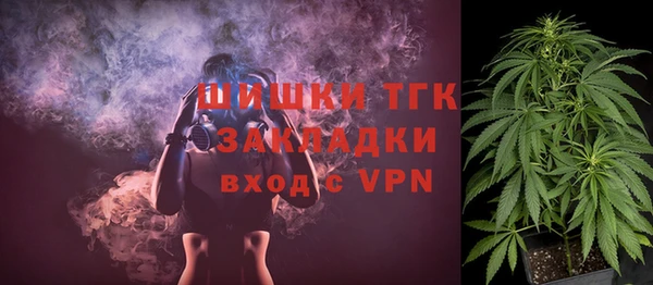 гидропоника Дмитриев