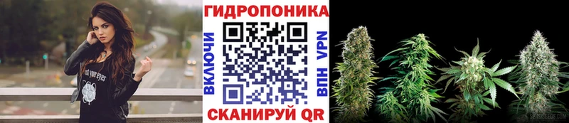 Шишки марихуана индика  цена наркотик  Пущино 